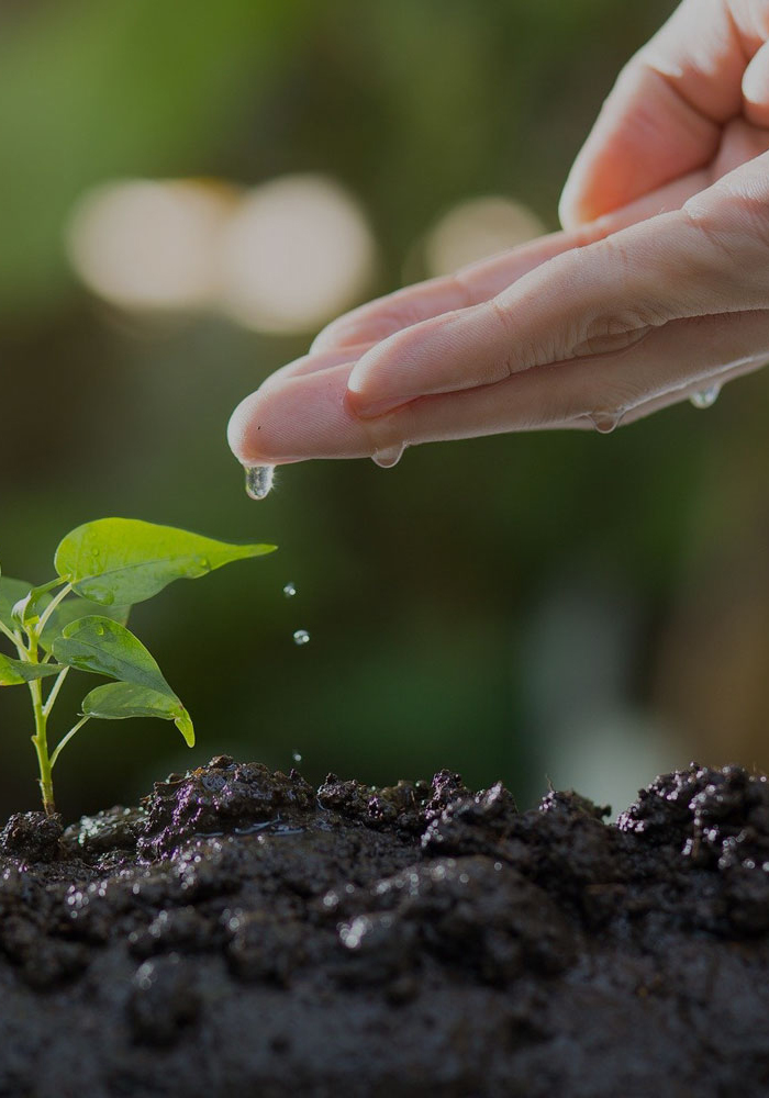 kafelki_ofertowe_4_s